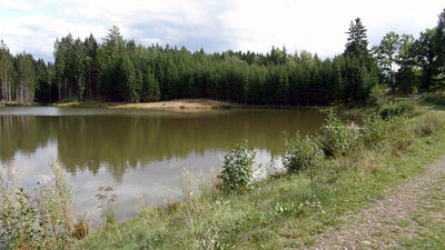 Lesnická naučná stezka U Mlejna