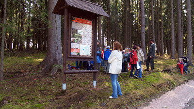 Lesnická naučná stezka U Mlejna