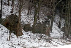 Přírodní park Údolí Bílého potoka