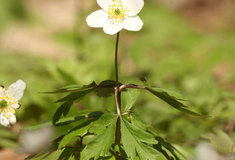 Přírodní park Údolí Křetínky