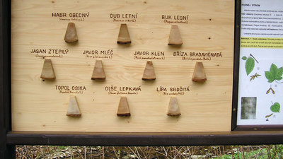 Údolím Skuhrovského potoka