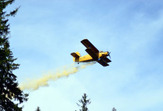 Vápnění lesů v České republice začalo