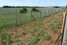 Chraňme větrolamy jako důležitý krajinný prvek