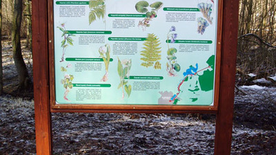 Vítězslava Nováka