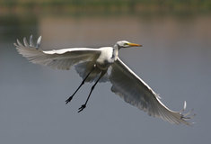 Vyhodnocení podzimního kola fotosoutěže „Les očima lesníka“