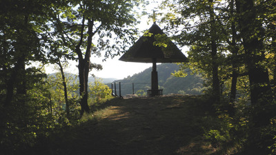 VYHLÍDKA PARAPLÍČKO