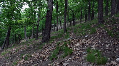 Vymyšlenská pěšina