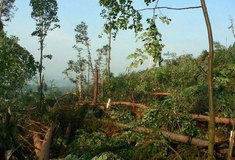 Lesy ČR: silná vichřice poničila lesní porosty v okolí města Krnova