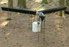 Černá Hora spolupracuje na výzkumu lesního ekosystému