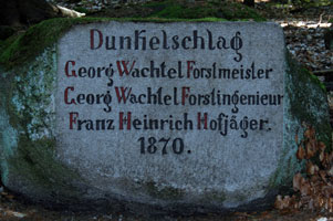wachtel-301.jpg