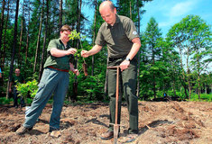 Letošní počasí zatím lesníkům přeje při boji s kůrovcem i při zalesňování