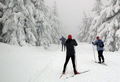 Lyžařské soutěže lesníků ČR hostila Železná Ruda