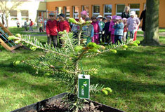 Lesníci Lesní správy Buchlovice, LČR, s.p. vysazují zelené plíce