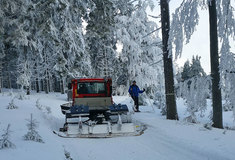 Zimní běžecké stopy v Jeseníkách jsou pro lyžaře udržovány díky spolupráci se státním  podnikem Lesy ČR