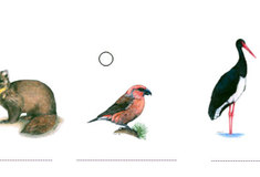 Zimní soutěž s Jehličkou a Lupínkem