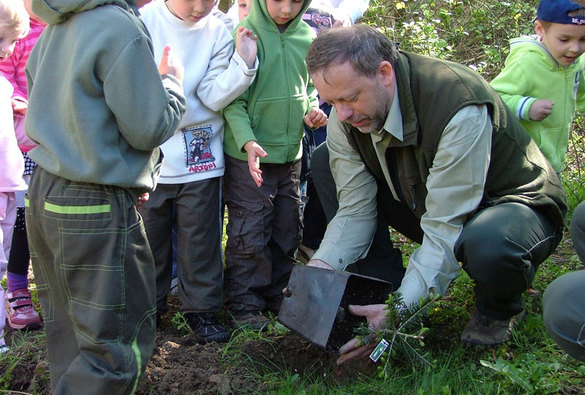 Lesníci Lesní správy Buchlovice vysazují zelené plíce