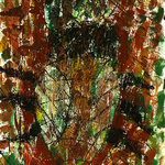 zus-6-11-sarka-fillova-6let