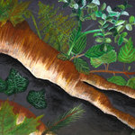 zus1-stana-wolfova-14let