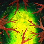 zus2-eliska-polackova-13let